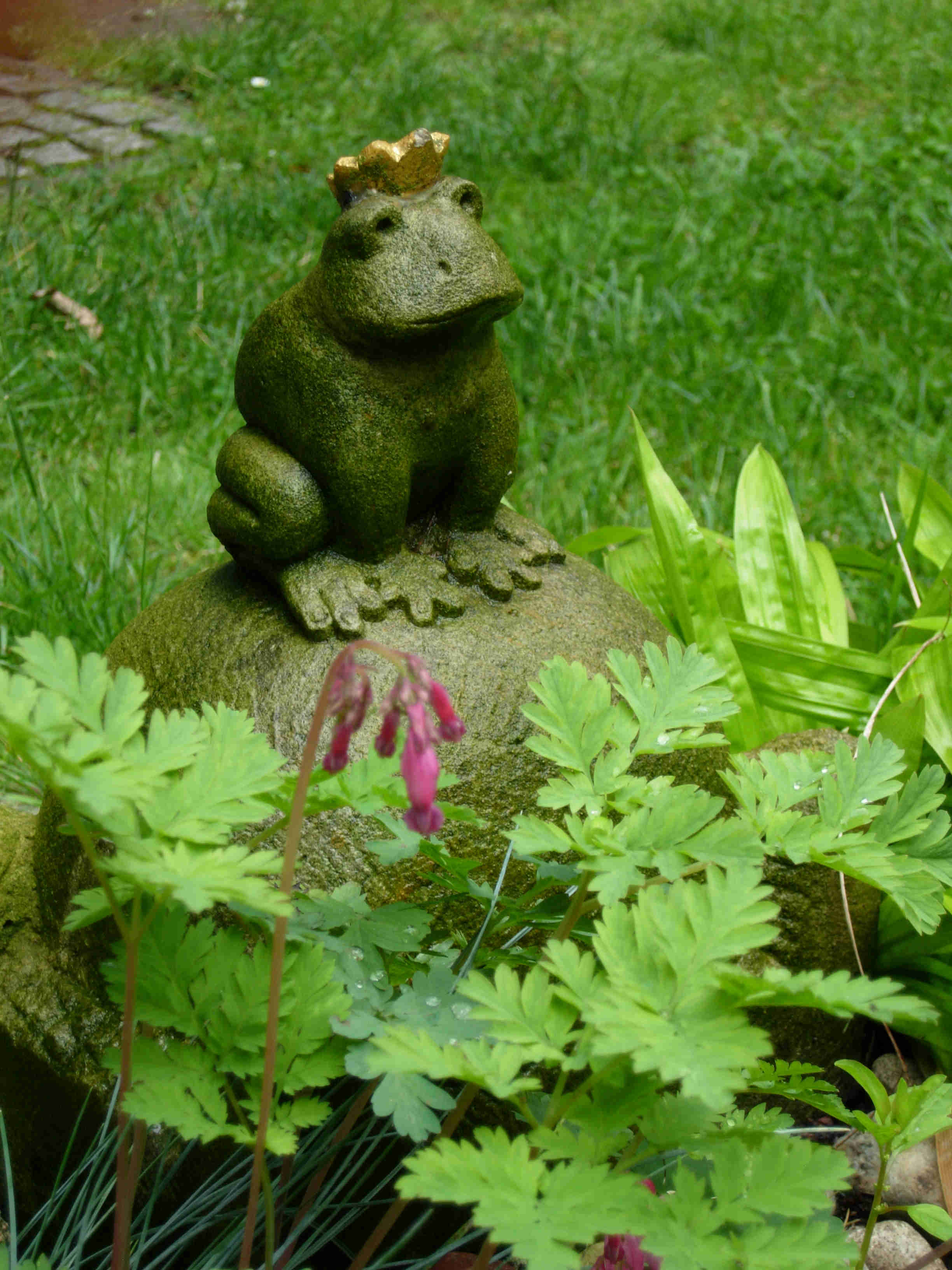 Frosch