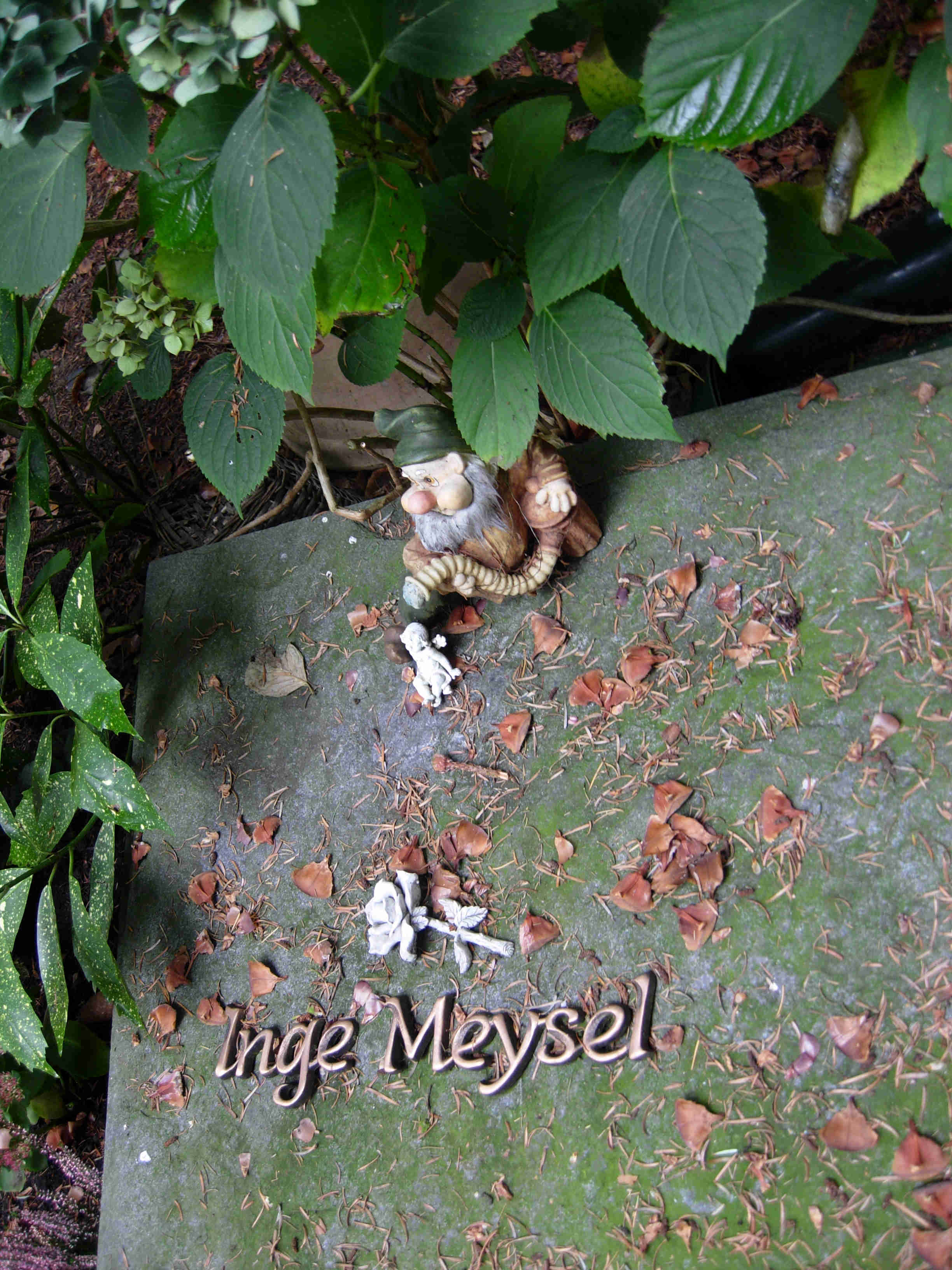 IngeMeysel
