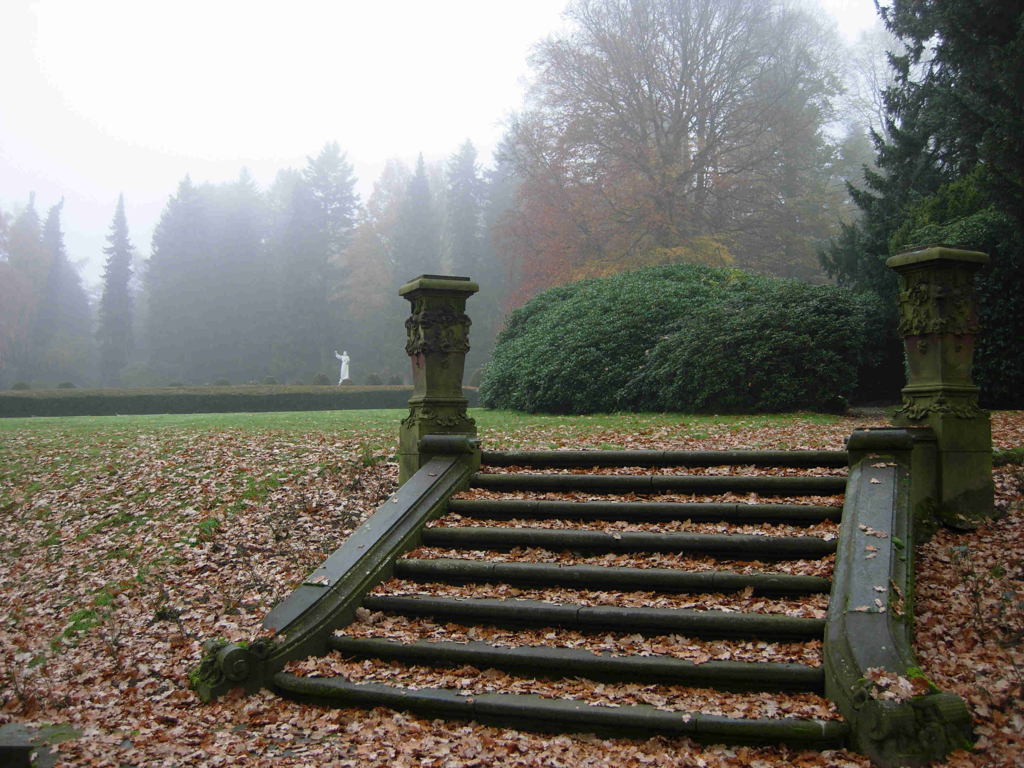 SeltsamNebel